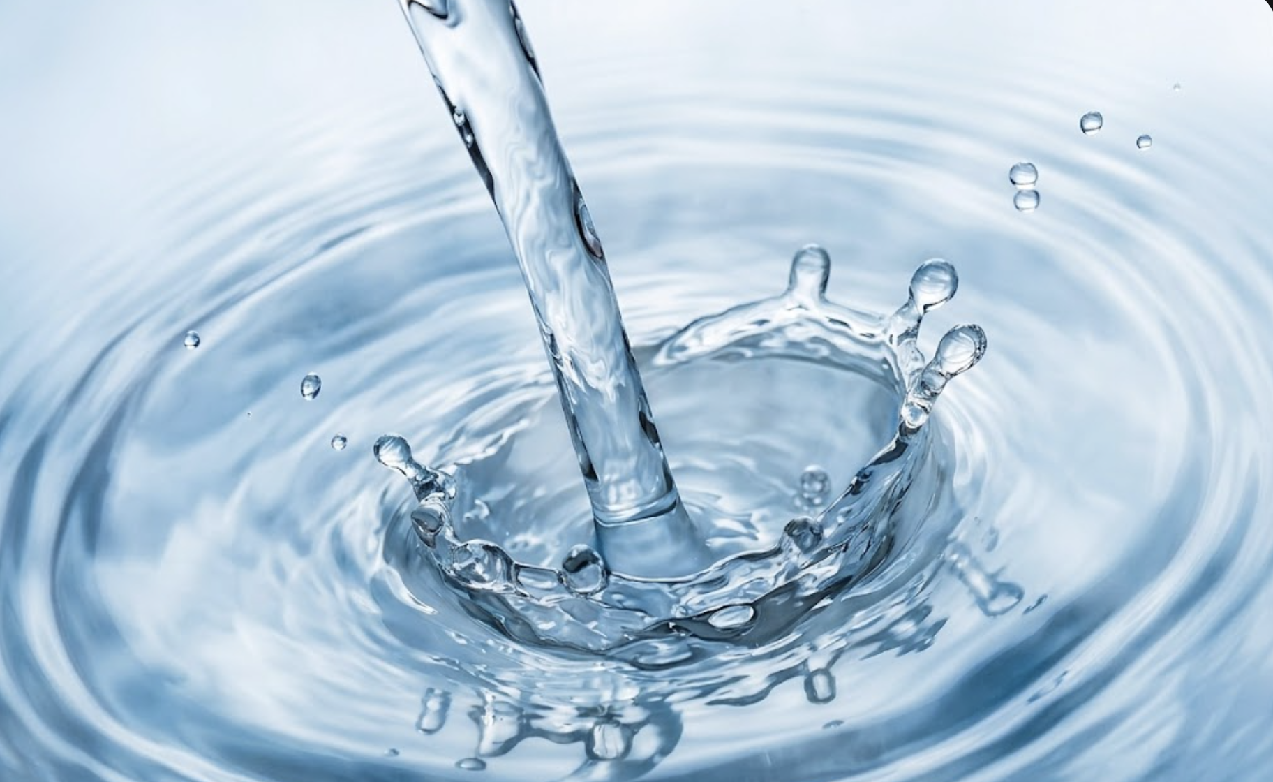 The Invisible Ingredient: Why Water Chemistry Defines Every Cup of Japanese Tea